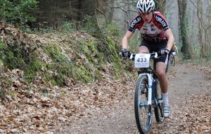 Corentin