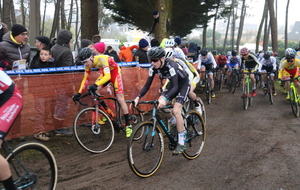 5a60e14d7ebec_IMG9979.JPG
