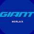 Giant Morlaix